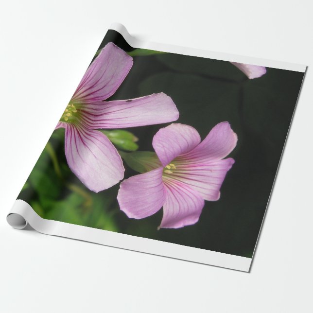Floral Wrapping Paper (Unrolled)