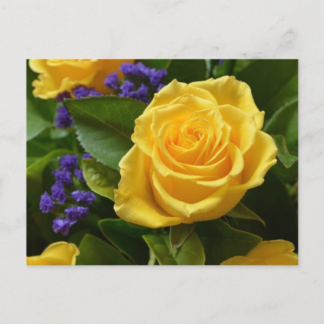 Floral Yellow Rose & Purple Flowers Hello Love Postcard (Front)