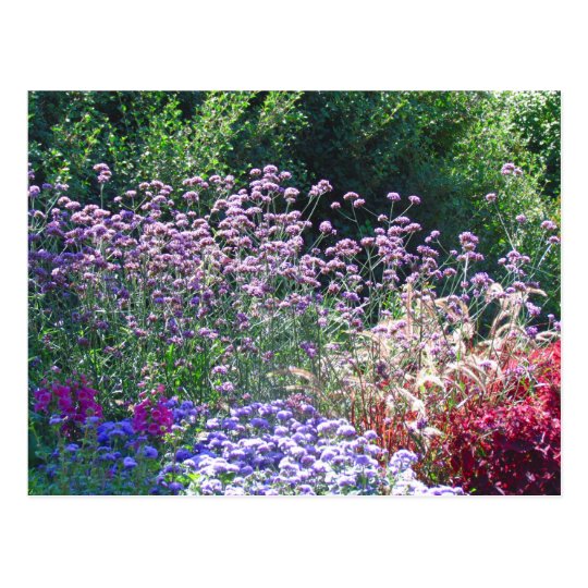 Florals in the English Garden's Postcard