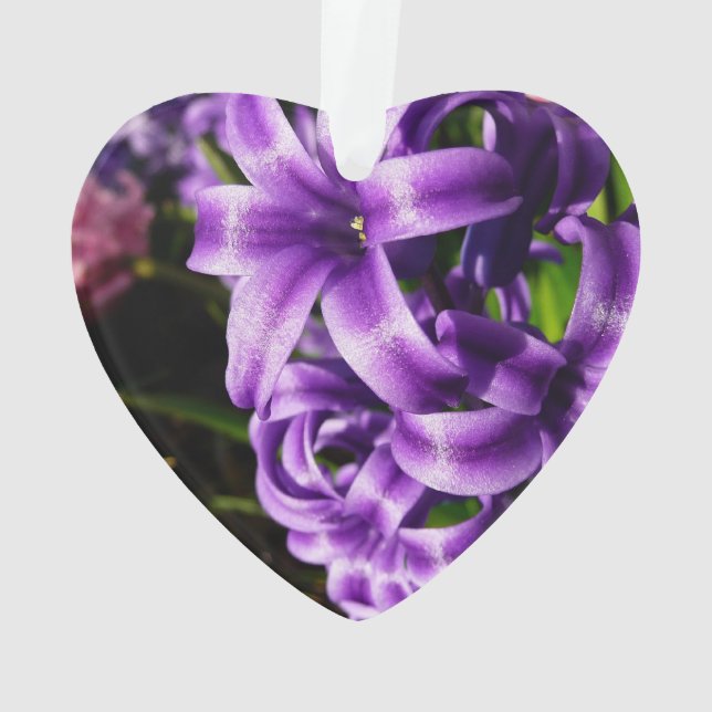 Flore de printemps Blue Hyacinth II (dos)