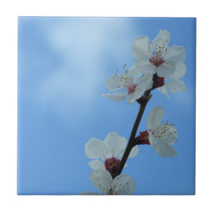 Floreal Ceramic Tile