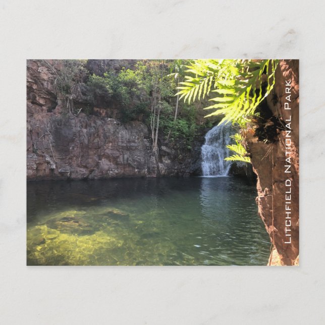 florence falls litchfield postcard (Front)