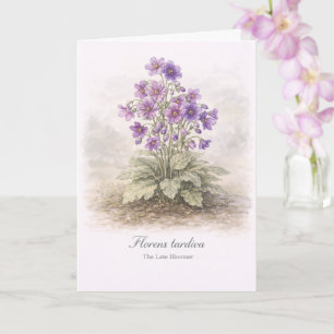 Florens tardiva The Late Bloomer Botanical Card