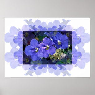 'Flores Azuis' (Blue Flowers) Poster