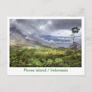 Flores island / Indonesia Postcard