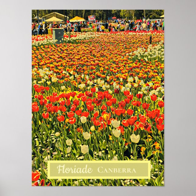 Floriade Canberra flower festival travel print (Front)