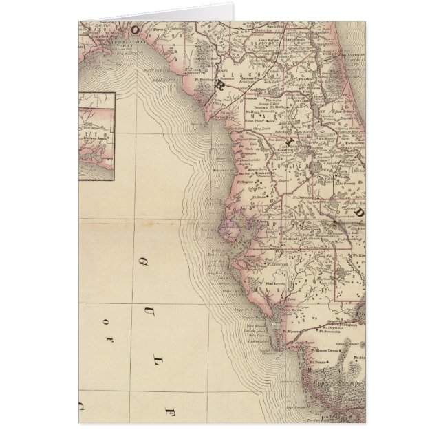 Florida 10 (Front)