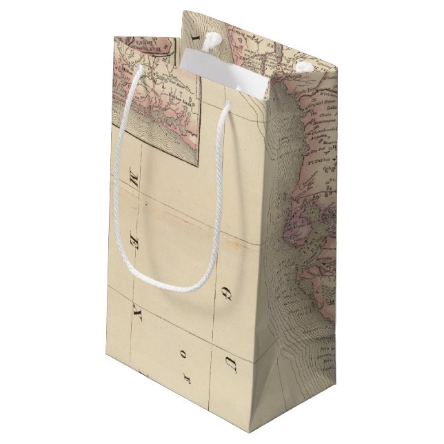 Florida 10 small gift bag (Back Angled)