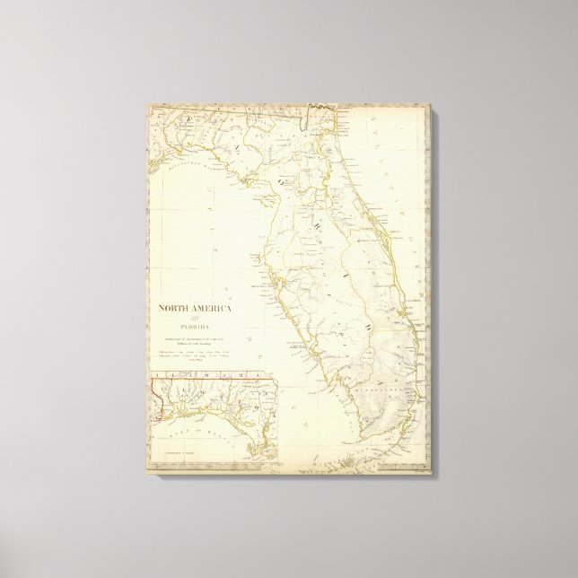 Florida 11 canvas print (Front)