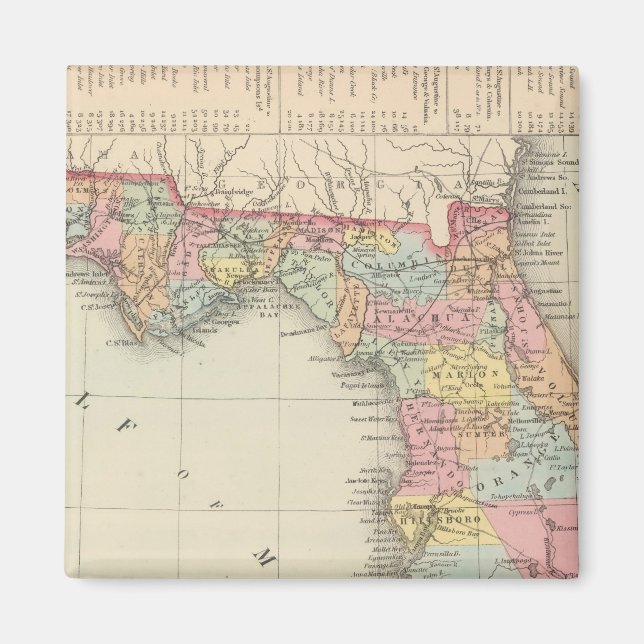 Florida 13 magnet (Front)