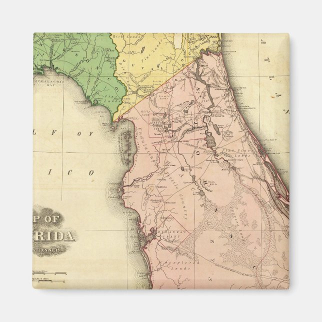 Florida 6 magnet (Front)