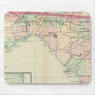 Florida 8 mouse pad