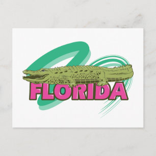 Florida Alligator Postcard