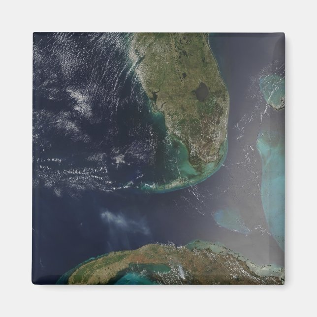 Florida and Cuba Magnet (Front)