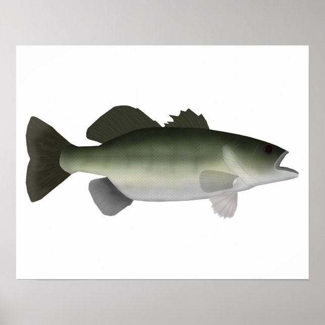 Florida Bass Poster (Front)