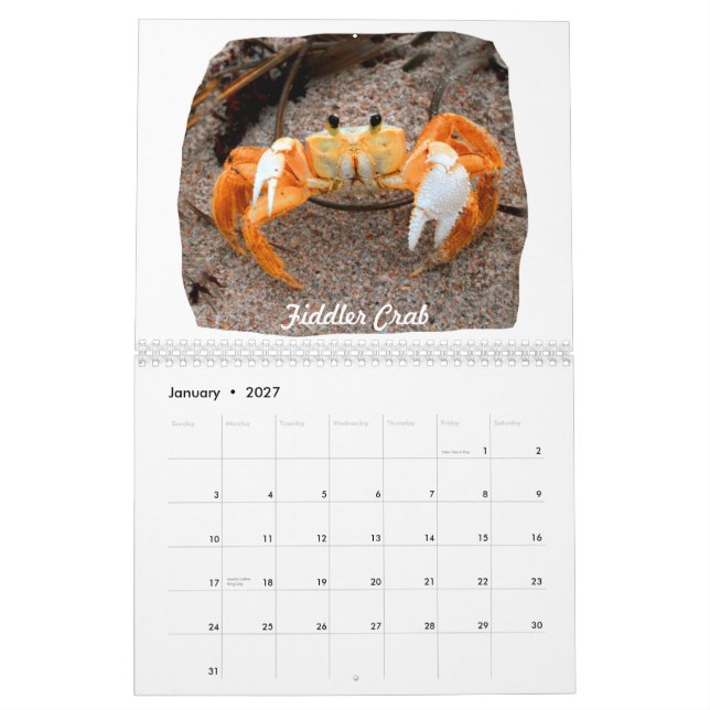 Florida Beach Images Photos Calendar (Jan 2027)