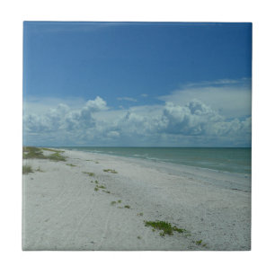Florida Beach Paradise Photograph Tile