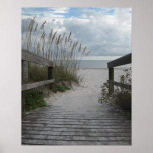 Florida Beach Path Poster