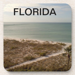Florida Beach Path Toward the Shore Coaster
