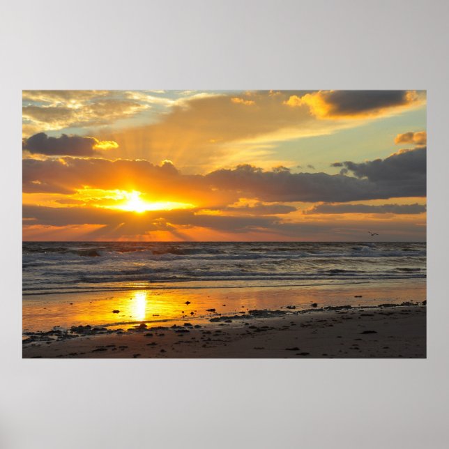 Florida Beach Scenic Sunrise Poster (Front)