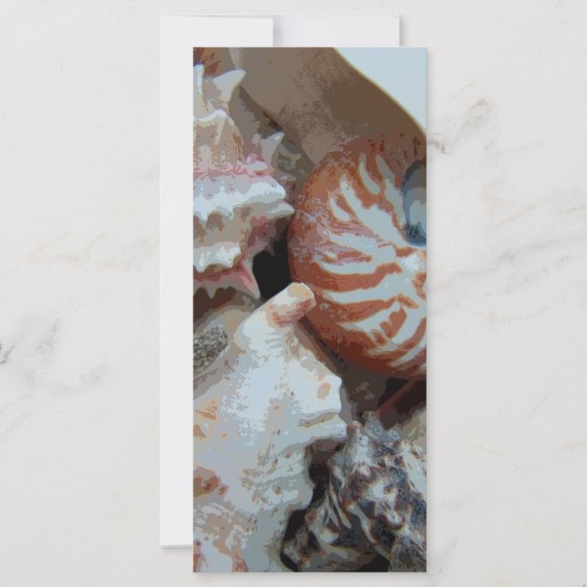 Florida Beach shells (Front)
