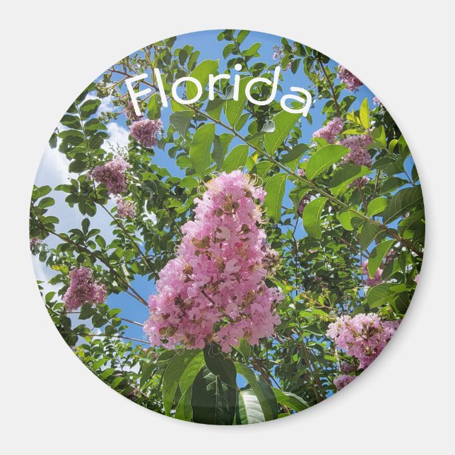 Florida blossoms magnet (Front)