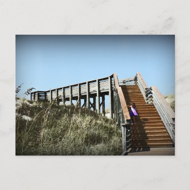 Florida boardwalk, Cape San Blas Gulf Coast Postcard (Front)