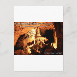 FLORIDA CAVERNS STATE PARK - Marianna, Florida Postcard