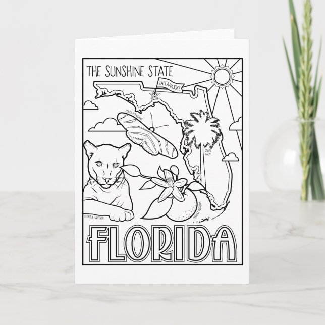 florida colour me collage holiday card (Front)