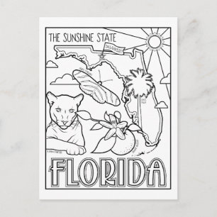 florida colour me collage postcard