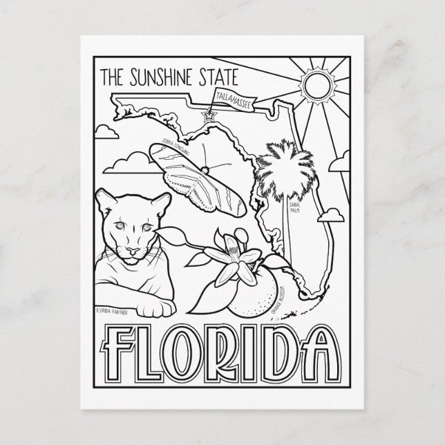 florida colour me collage postcard (Front)