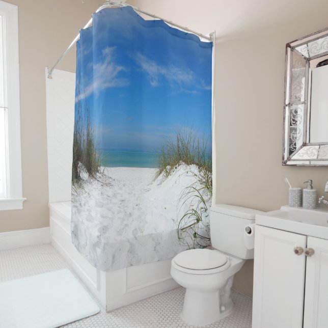 Florida Coquina Dunes (In Situ)