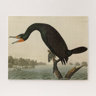 Florida Cormorant from Audubon's Birds of America Jigsaw Puzzle
