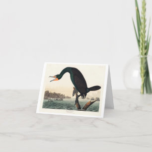 Florida Cormorant from Birds of America Thank You Card