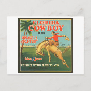 Florida Cowboy Kissimmee Citrus Growers Vintage Cr Postcard