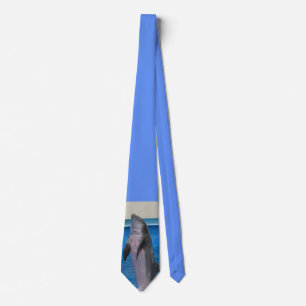 Florida Dolphin Tie
