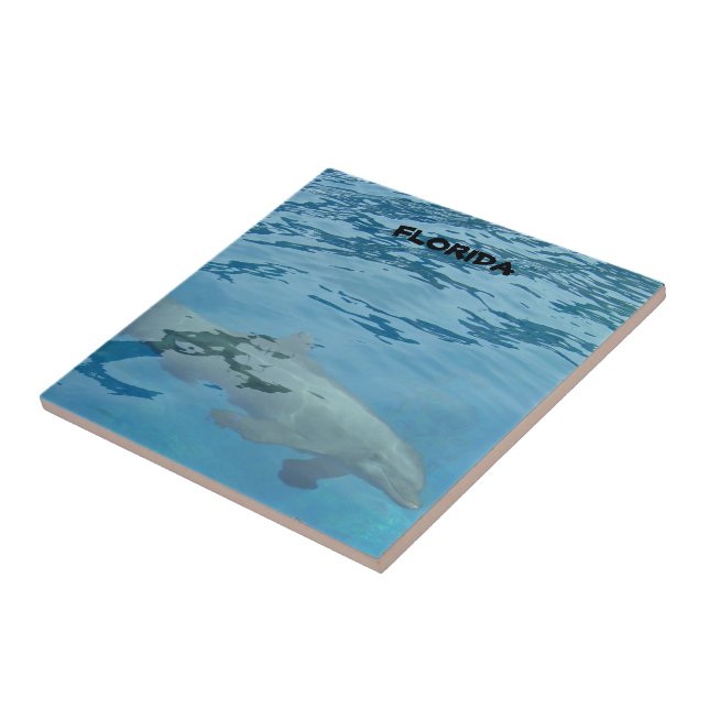 Florida Dolphin Underwater Ocean Scene Tile (Side)
