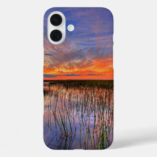 Florida Everglades iPhone 16 Plus Case