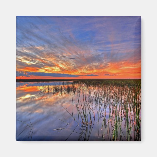 Florida Everglades Magnet (Front)