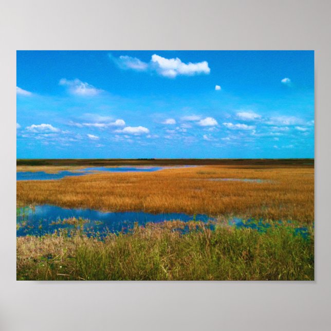 Florida Everglades Sawgrass, Sky & Reflections Poster (Front)
