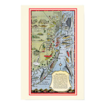 Florida Fish 12x18 Poster Imprimer