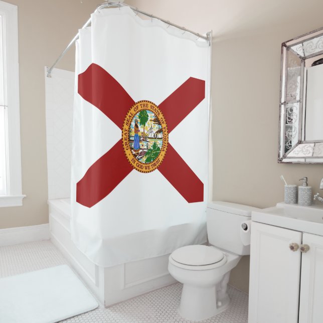 Florida flag (In Situ)