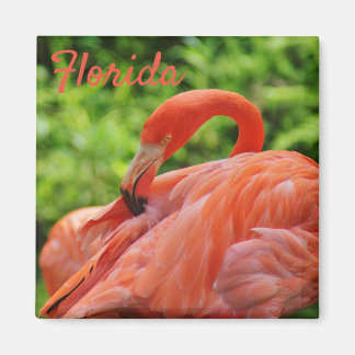 Florida Flamingo Magnet Square