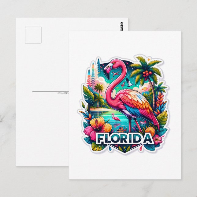 Florida, Flamingo, Postcrossing Postcard (Front/Back)