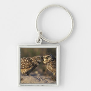 Florida, Fort Myers. Burrowing Owl pair bonding Keychain