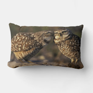 Florida, Fort Myers. Burrowing Owl pair bonding Lumbar Pillow