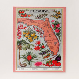 Florida Fruit 16x20 Jigsaw Puzzle