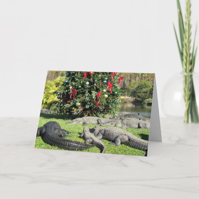 Florida Gator Christmas Holiday Card (Front)