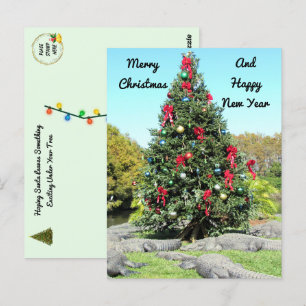 Florida Gator Christmas Tree Postcard