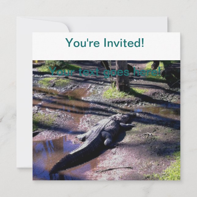 Florida Gator Invitation (Front)